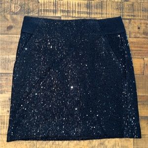 AnnTaylor Loft Skirt